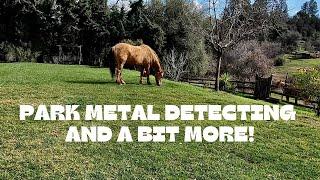 Park Metal Detecting And More 