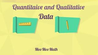 Qualitative and Quantitative Data