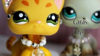 LPS Caras Life Episode 1 This Isnt On You - 2019 Series