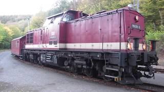 Harzer Schmalspurbahnen - Harzkamel auf der Selketalbahn - September 2018