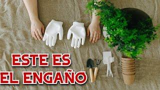 DESCUBRE COMO LOS VIDEOS - TUTORIALES DE HUERTOS Y PLANTAS TE ENGAÑAN