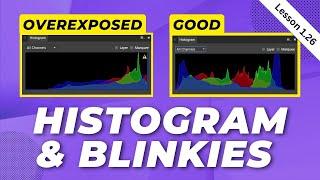 How to Understand Your Exposure Better Histogram and Blinkies  Lesson 1.26