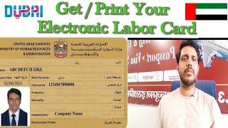 How to download UAE labour card online  Dubai labour card kaise check Kare UAE labour card check