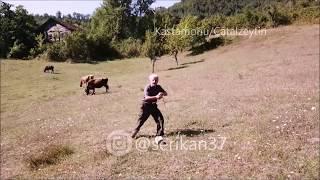 Drone gören masum amca SESLi çekim anı. Shepherd sees drone for first timetries to attack@serikan37