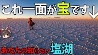 なぜ不毛の土地だった塩湖が、黄金の土地として、今注目されているのか【ゆっくり解説】