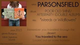 Parsonsfield - Weeds or Wildflowers synced lyrics