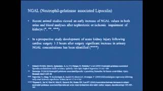 S004 Effects of carbon dioxide pneumoperitoneum on renal function - SS01 Basic Science