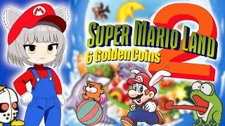 What makes Super Mario Land 2 so special?