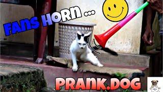 Trumpet sound prank dog and cat so funny video