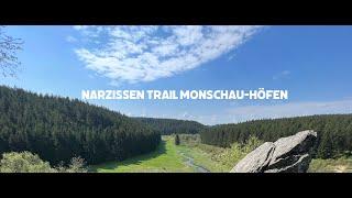 Narzissen trail Monschau - Höfen