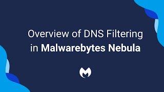 Overview of DNS Filtering in Nebula