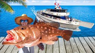 3 Days Aboard Worlds Best Deep Sea Fishing Boat Catch Clean & Cook
