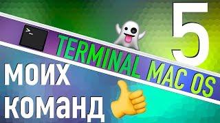 Terminal MacМои любимые команды