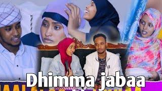 Dhimma jabaa dirama jibbaafi Jaalala irrati