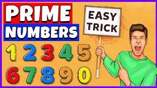 Prime Numbers  Prime Numbers from 1 to 100