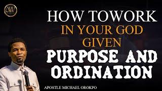 How Work In Your God Given Purpose and Ordination  Apostle Michael Oropko