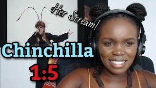 Her Scream African Girl First Time Reaction to Chinchilla - 15