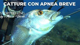 Pescasub efficace con apnea breve