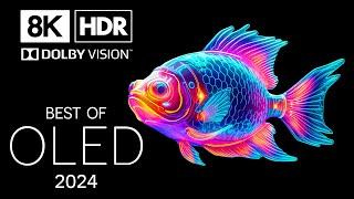 Unbelievable Views in 8K HDR  Dolby Vision™