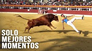 Toros Bravos Solo Mejores Momentos #4