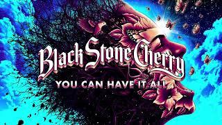 Black Stone Cherry - You Can Have It All Screamin At The Sky