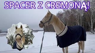 SPACER Z CREMONĄ  CO JE?