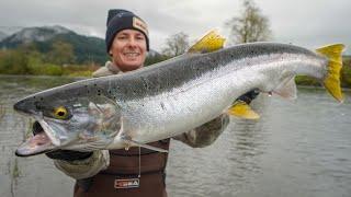 GIANT Steelhead Catch Clean Cook Remote River Fishing Oregon
