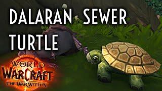 WoW Guide - Dalaran Sewer Turtle - The War Within