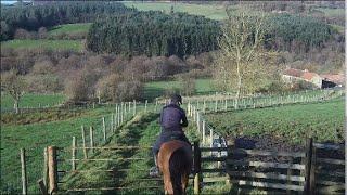 Did you Spot the Bridleway Sign