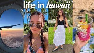 holidays at home in hawaii  christmas party small business life chatty catch up