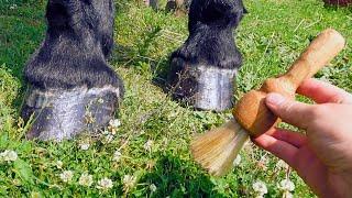  Making a brush from horsehair 