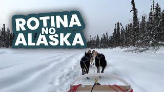 Nossa rotina no Alaska Estados Unidos