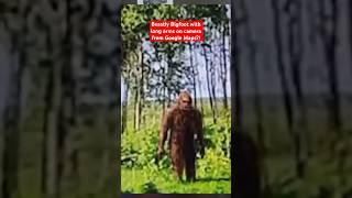 Beastly Bigfoot with Long Arms on Camera From Google Maps?