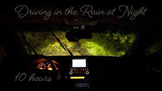  Relaxing Sounds of Light Rain Falling on the Car while Driving Through The Forest at Night