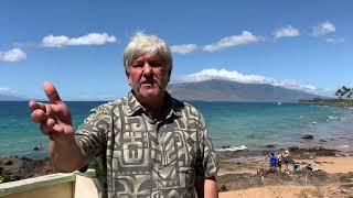 Things to Know About Buying Oceanfront or Beachfront Property on Maui
