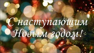 С наступающим Новым годом Питомник растений Е. Иващенко