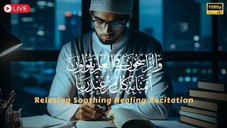 LISTEN DAILY Lofi Quran Melodious  Worlds Most Beautiful Recitation for Sleep?Study  Adhkar TV