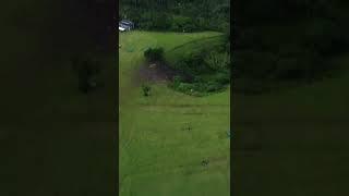 Mt. Mayon Volcano view from Quituinan Hills Camalig Albay  Drone Footage