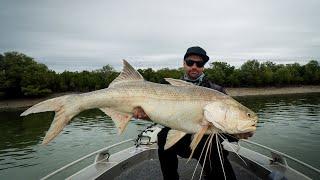 MONSTER THREADFIN SALMON SESSION