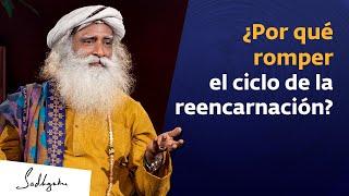 Si vivir como yogui es tan extático ¿por qué romper el ciclo de renacimiento?  Sadhguru