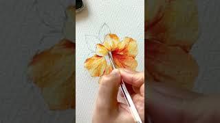 베리현 수채화 히비스커스Watercolor painting  Watercolor flower Watercolor tutorial Hawaiian hibiscus