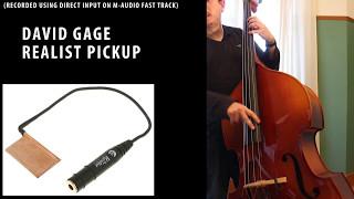 Pickup comparison David Gage The Realist  K&K Bass Max