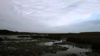 Time Lapse of a South Carolina salt marsh at low tide