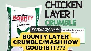 BOUNTY LAYER 1 CRUMBLEMASH FOR OUR LAYERS. HOW GOOD IS IT???  XL POULTRY FARM  & SUPPLIES 