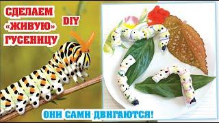 Мастер-класс «Живые гусеницы из салфетки»  TRACKED LIVING  Diy with children