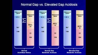 ABG Interpretation The Anion Gap Lesson 5