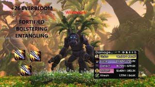 +26 Everbloom  Outlaw Rogue pov  Fortified  Bolstering  Entangling  Dragonflight 10.2 M+