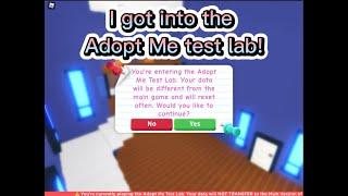 I got into the Adopt Me test lab  D