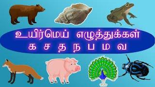 உயிர் மெய் எழுத்துக்கள்க ச த ந ப ம வ வரிசை சொற்கள்uyirmei eluthukkal