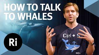How to speak whale – with Tom Mustill and Michael Bronstein